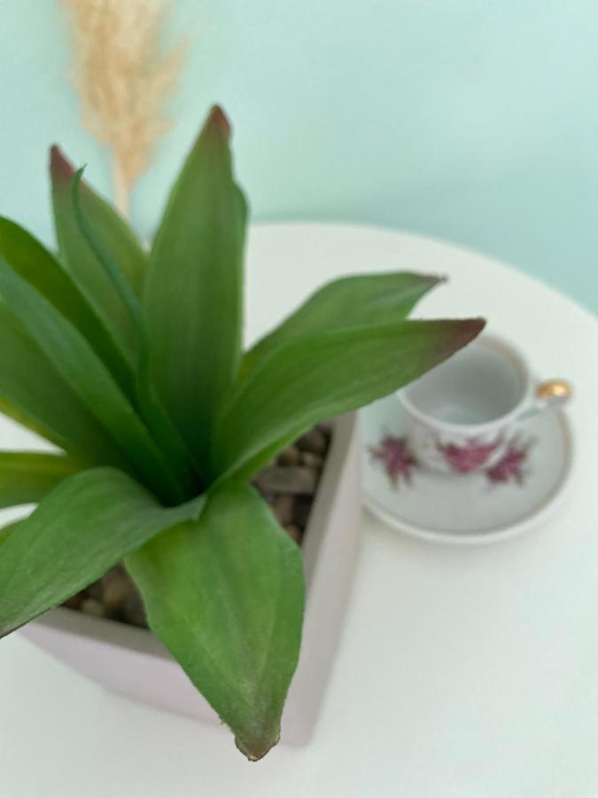 Hisa Megiclinic - Apartments & Healing Center 코바리드 외부 사진