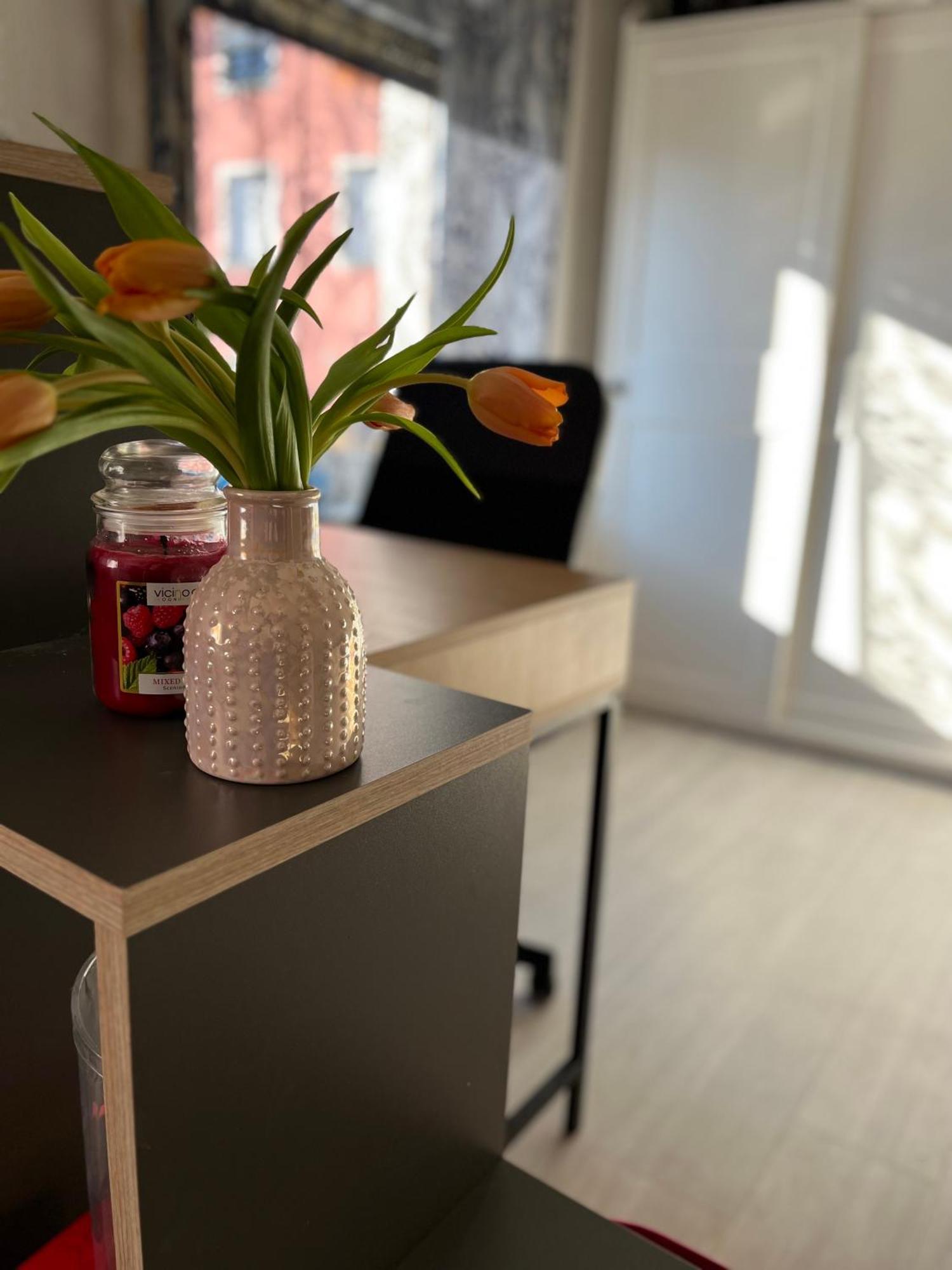 Hisa Megiclinic - Apartments & Healing Center 코바리드 외부 사진