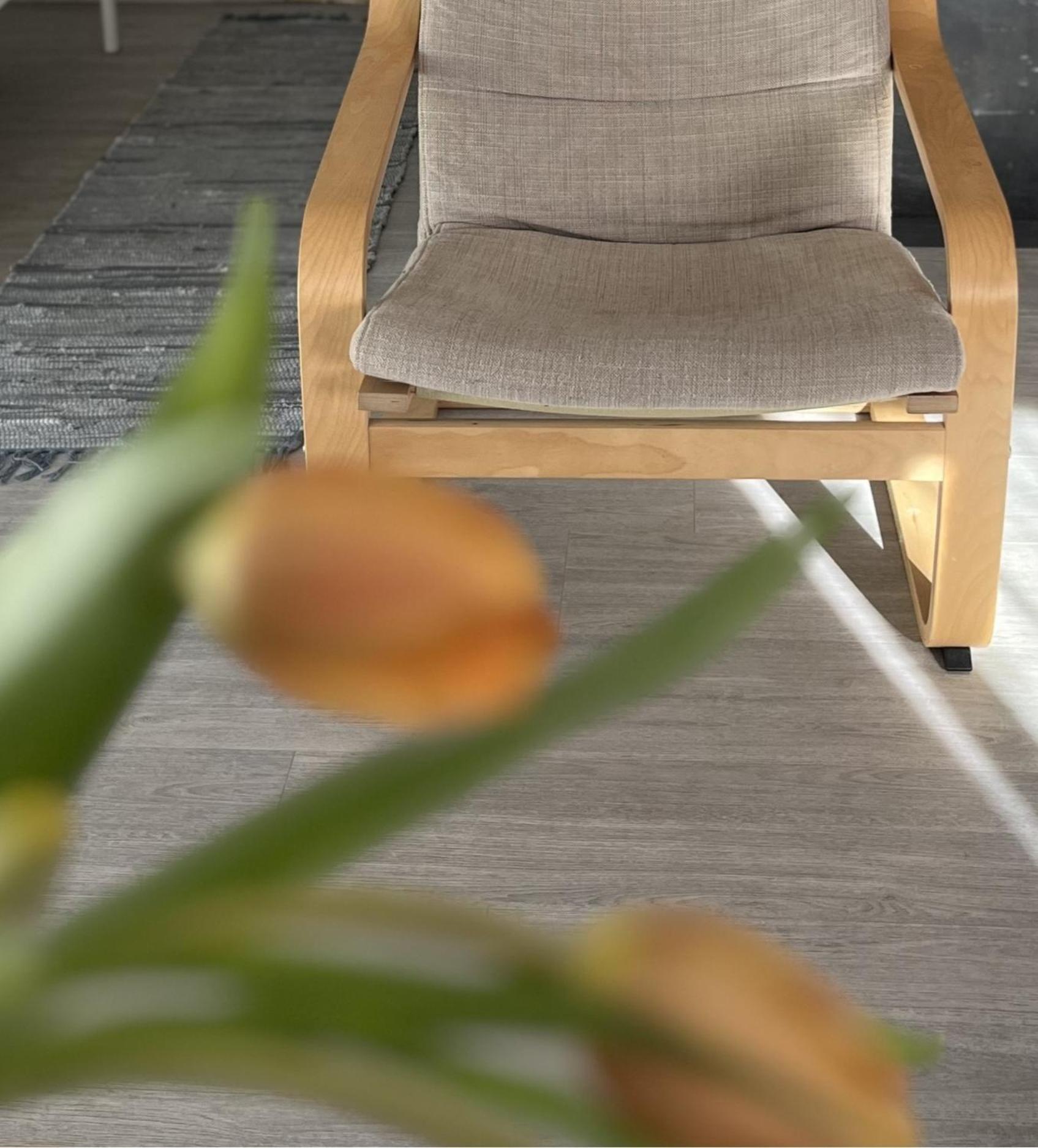 Hisa Megiclinic - Apartments & Healing Center 코바리드 외부 사진