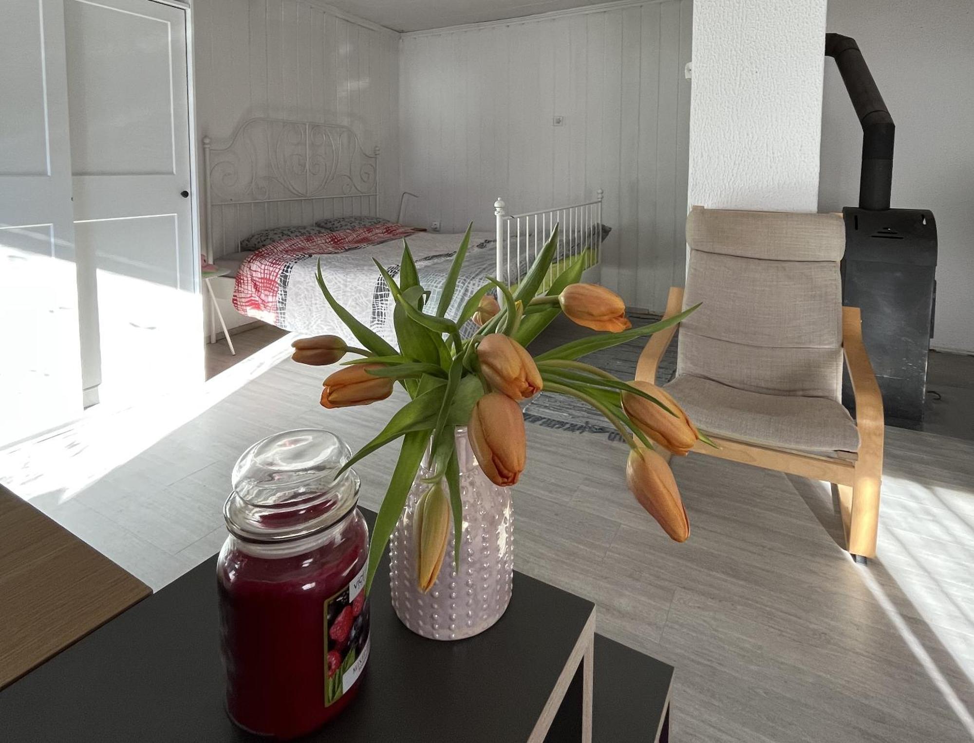 Hisa Megiclinic - Apartments & Healing Center 코바리드 외부 사진